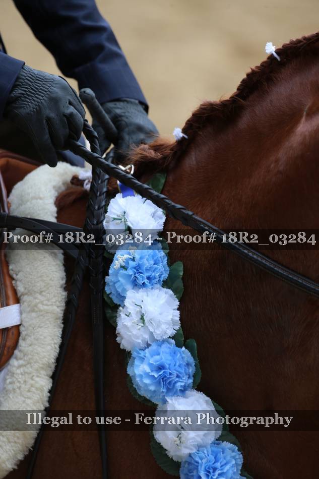 Proof 18R2_03284