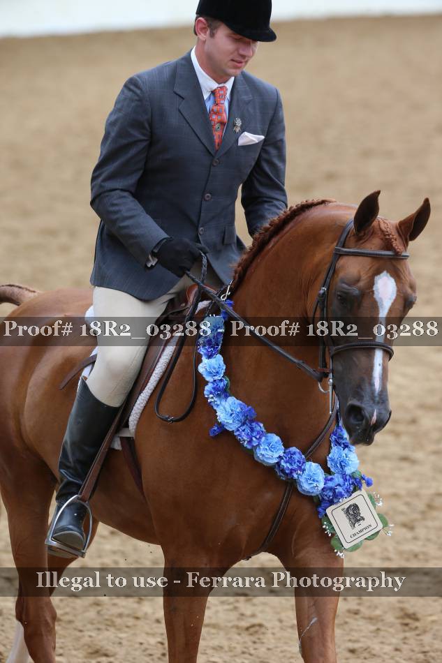Proof 18R2_03288