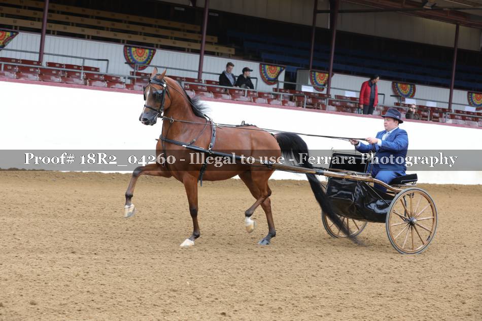 Proof 18R2_04260