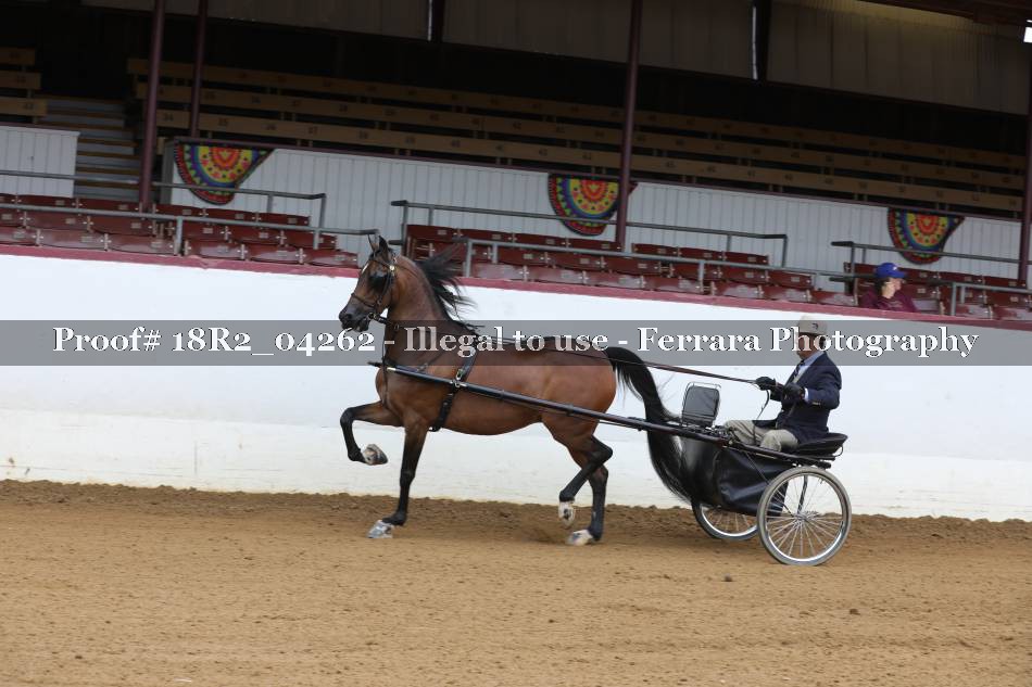 Proof 18R2_04262