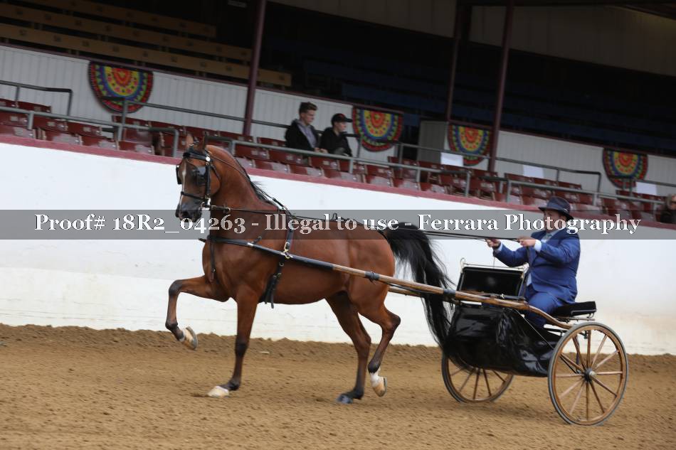 Proof 18R2_04263