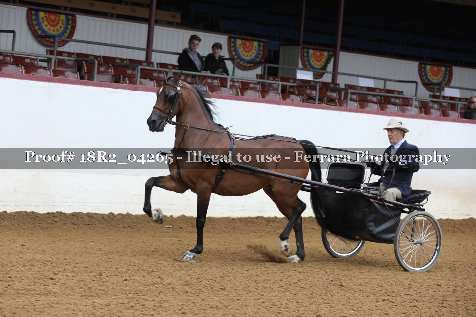 Proof 18R2_04265