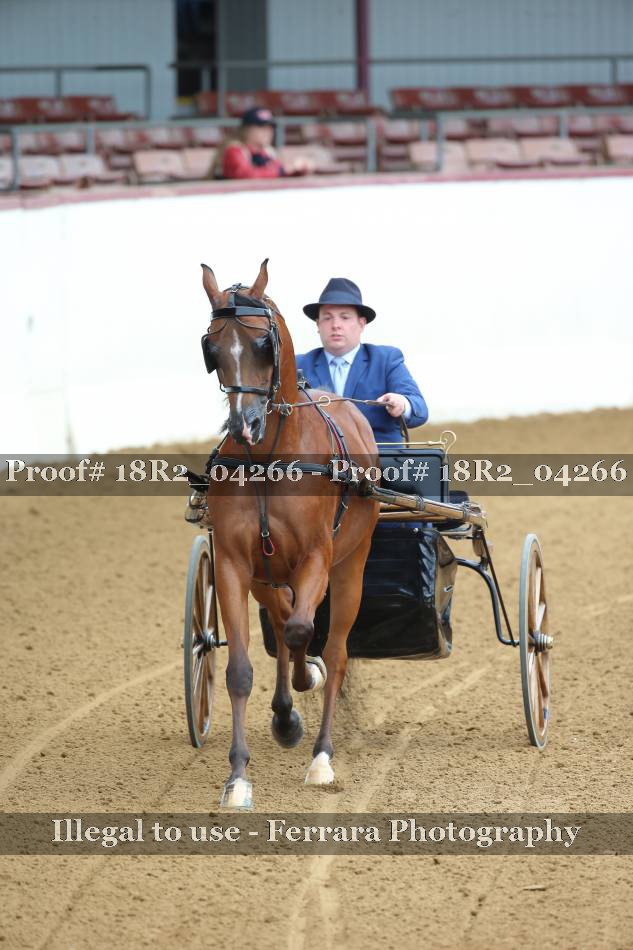 Proof 18R2_04266