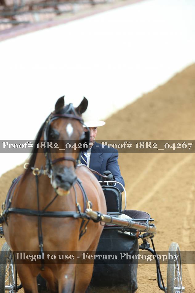 Proof 18R2_04267