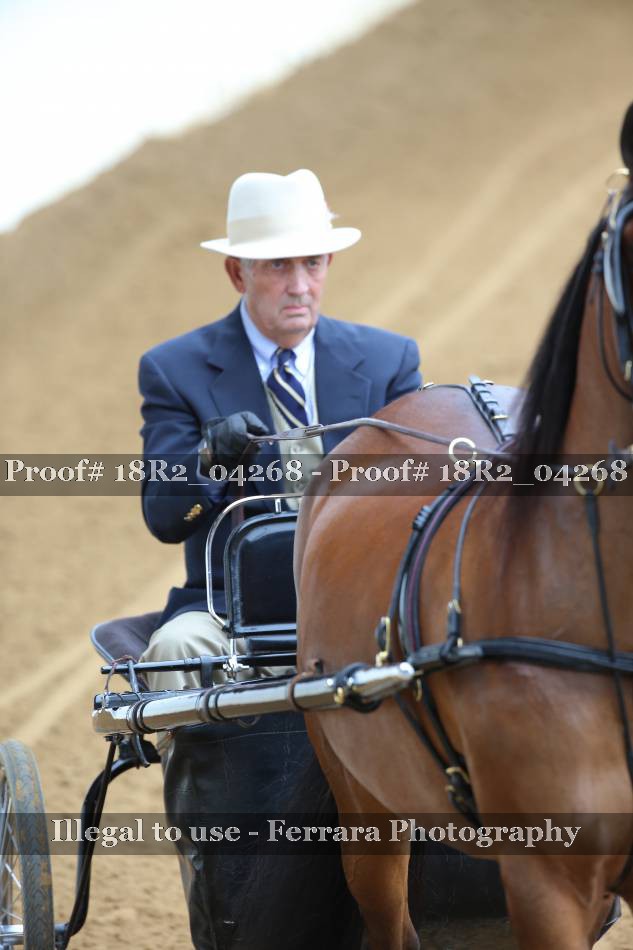 Proof 18R2_04268
