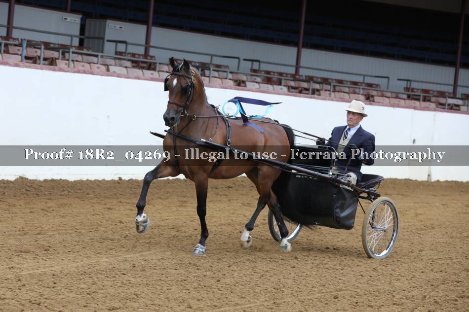 Proof 18R2_04269