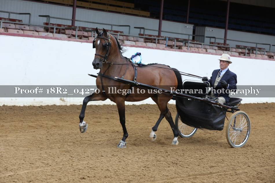 Proof 18R2_04270
