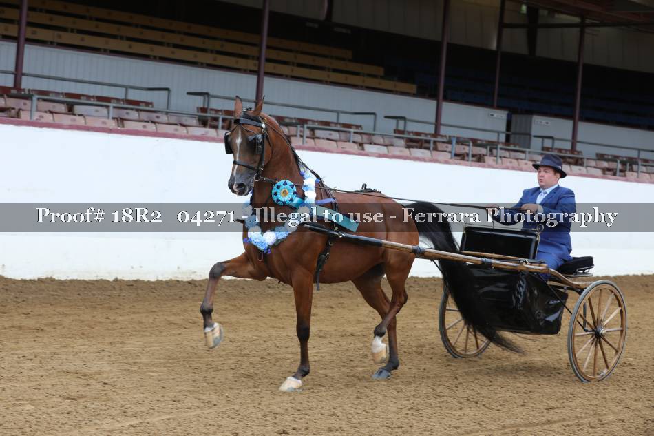 Proof 18R2_04271