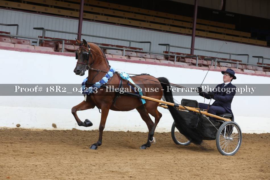 Proof 18R2_04273