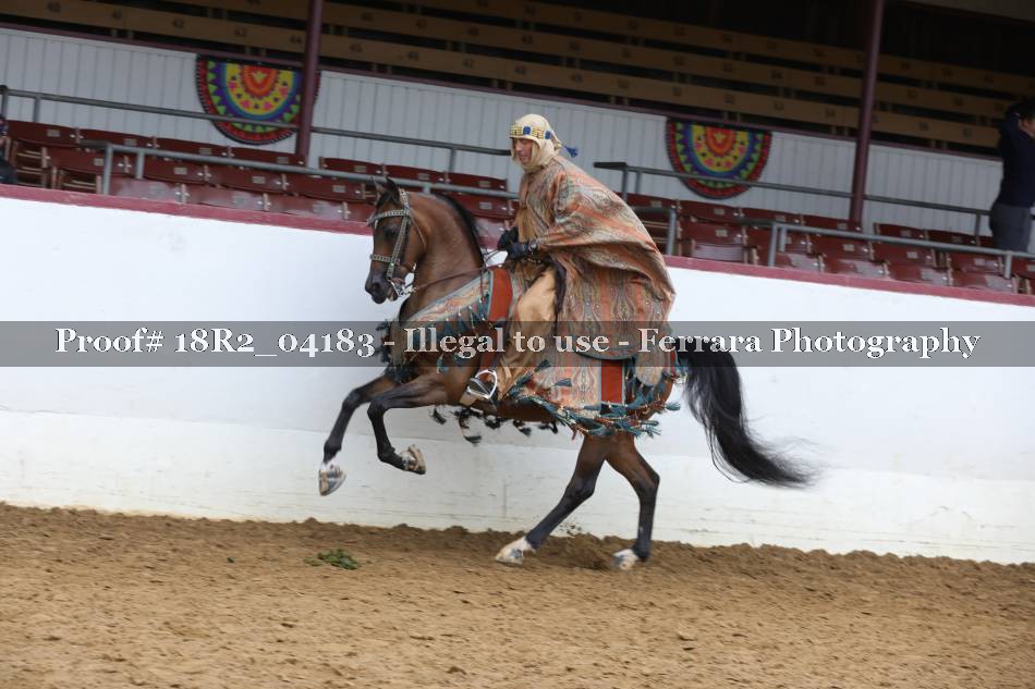 Proof 18R2_04183