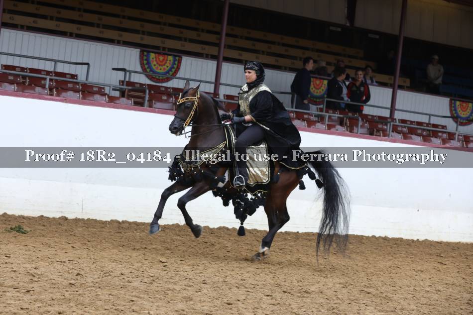 Proof 18R2_04184