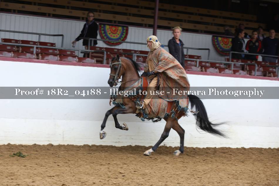 Proof 18R2_04188