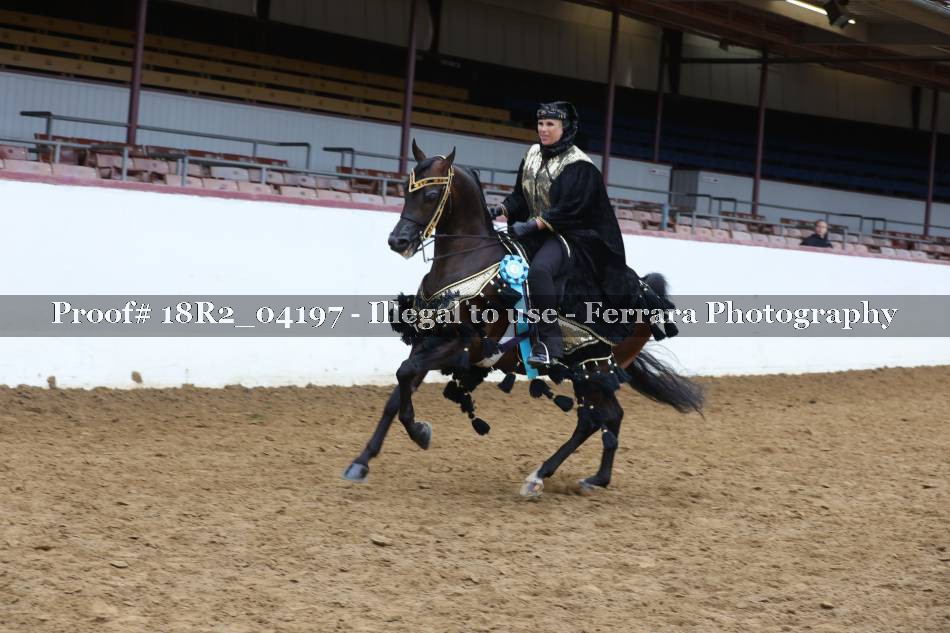 Proof 18R2_04197