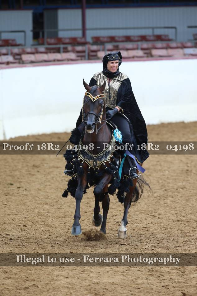 Proof 18R2_04198