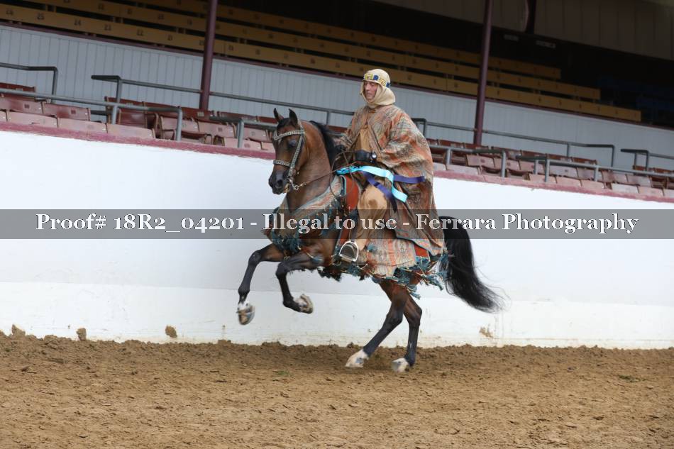 Proof 18R2_04201