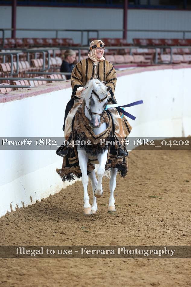 Proof 18R2_04202