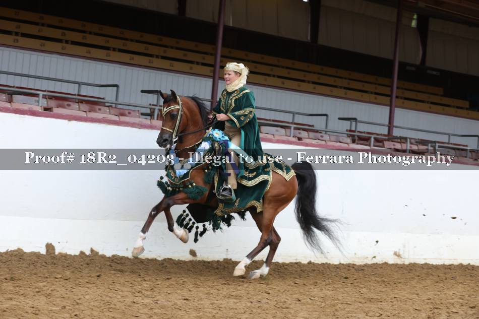 Proof 18R2_04203