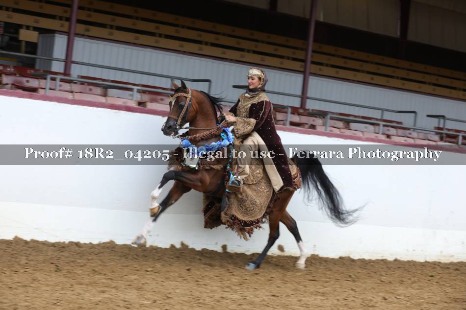 Proof 18R2_04205
