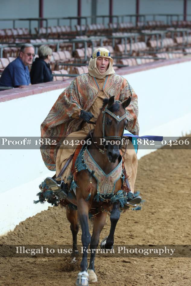 Proof 18R2_04206