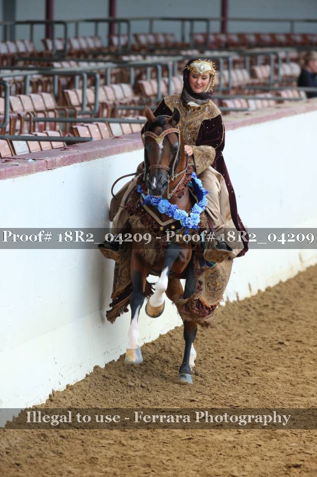 Proof 18R2_04209