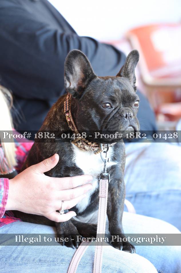 Proof 18R2_01428