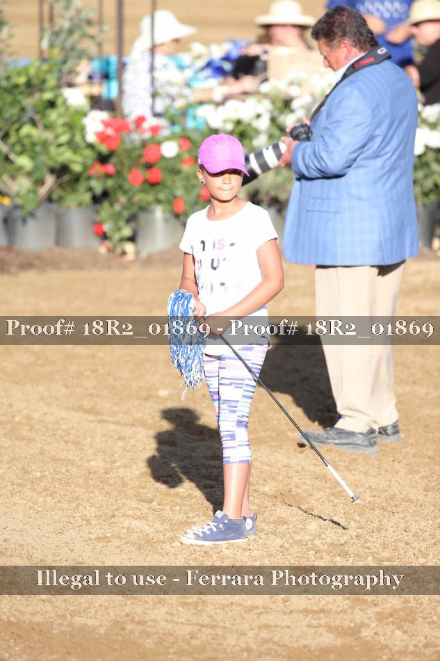 Proof 18R2_01869