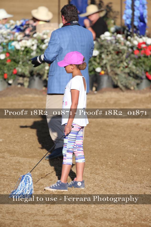 Proof 18R2_01871