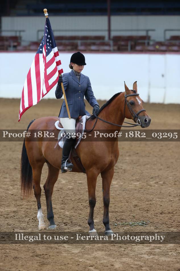 Proof 18R2_03295