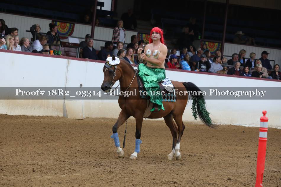 Proof 18R2_03314