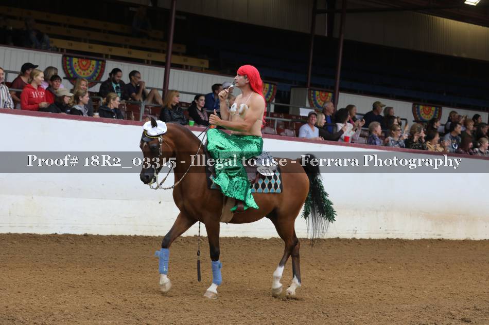 Proof 18R2_03315