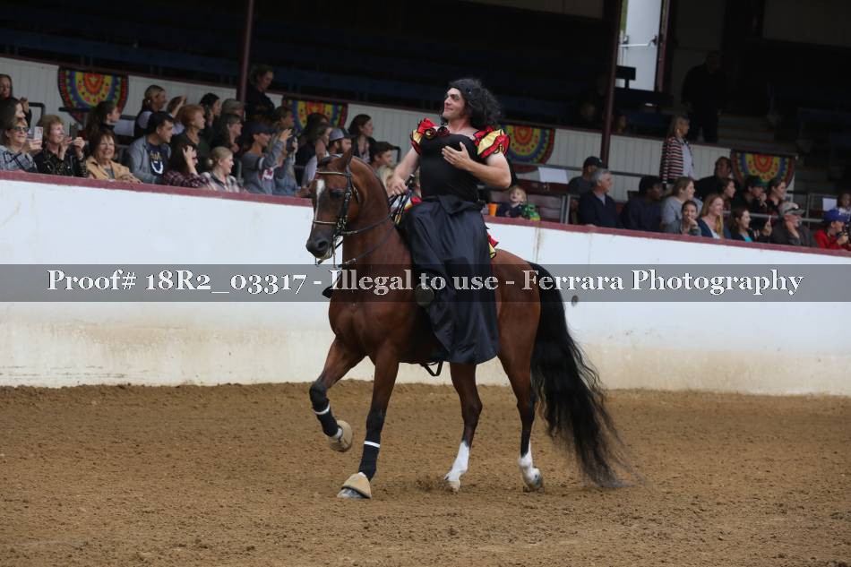 Proof 18R2_03317