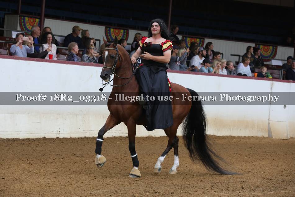 Proof 18R2_03318