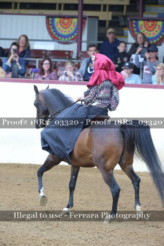 Proof 18R2_03320