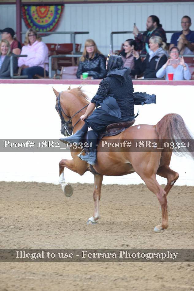 Proof 18R2_03321