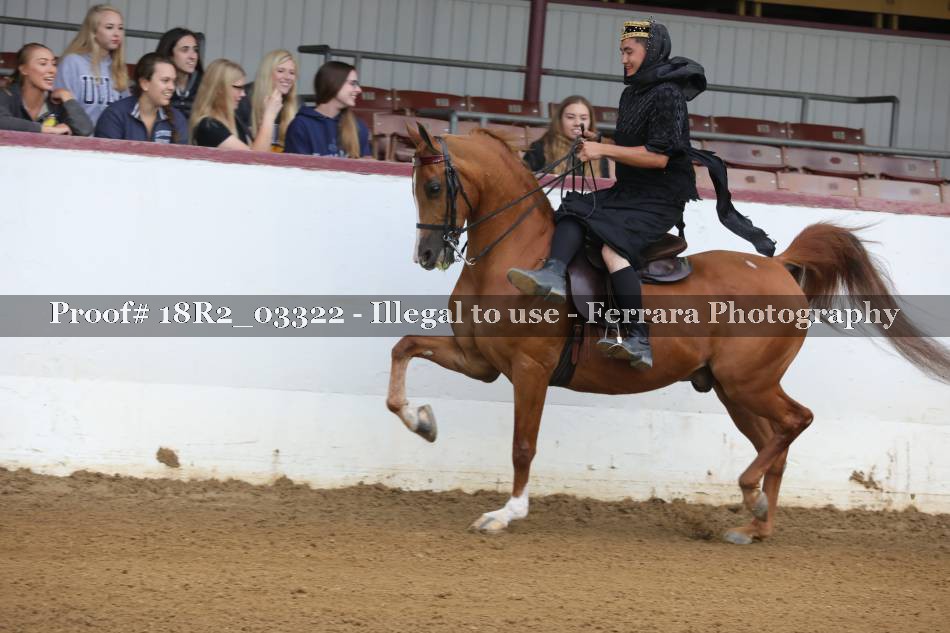 Proof 18R2_03322