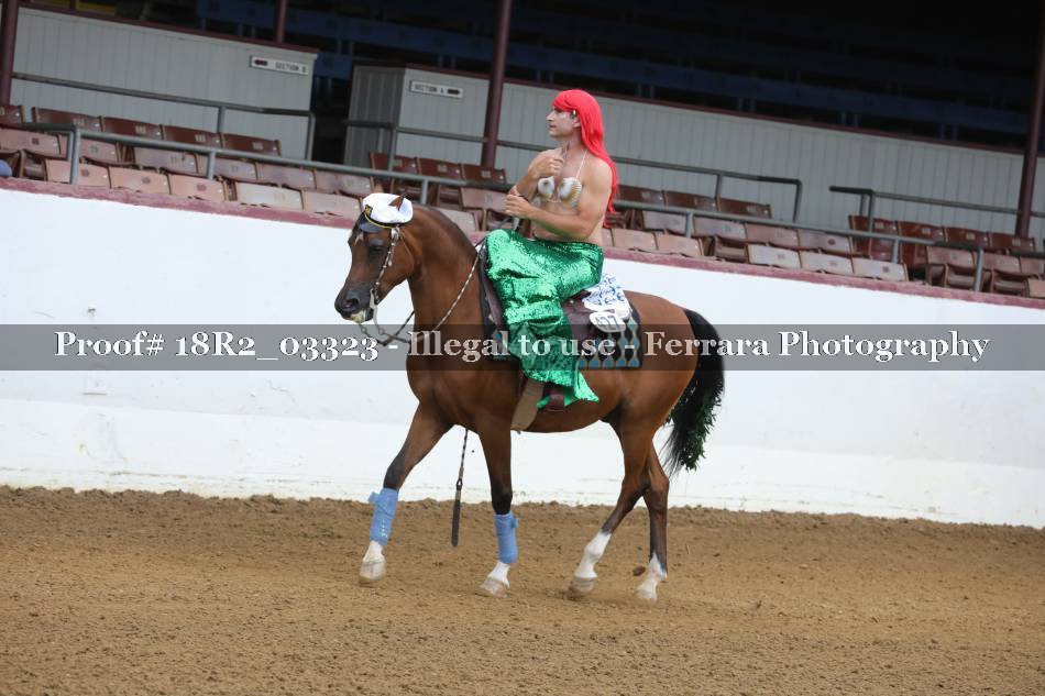 Proof 18R2_03323