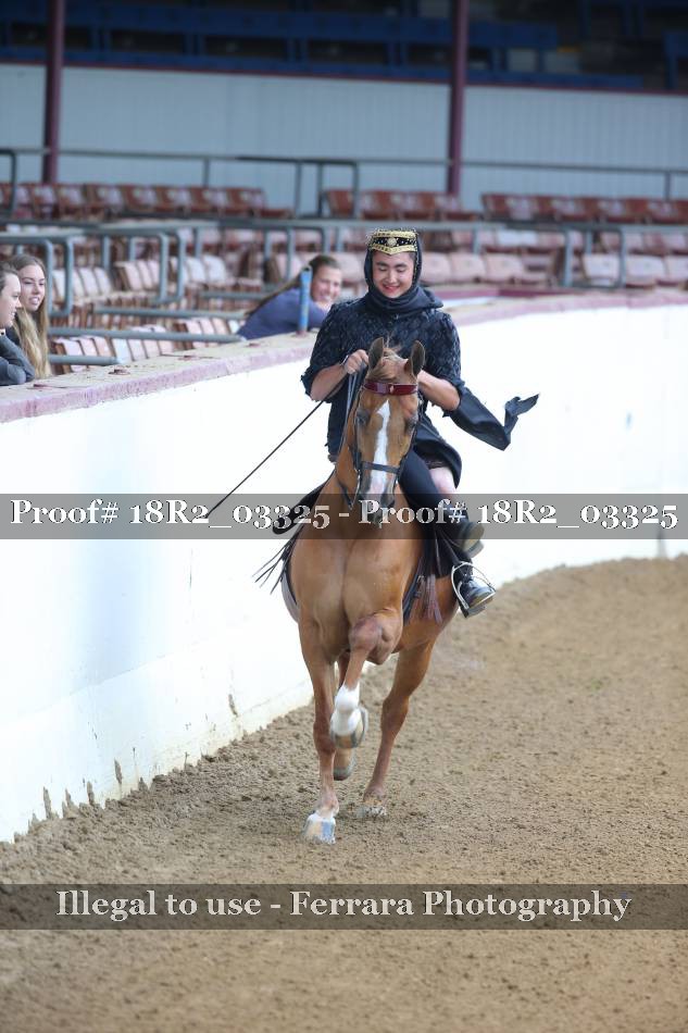 Proof 18R2_03325