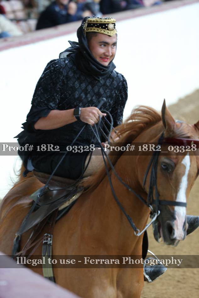 Proof 18R2_03328