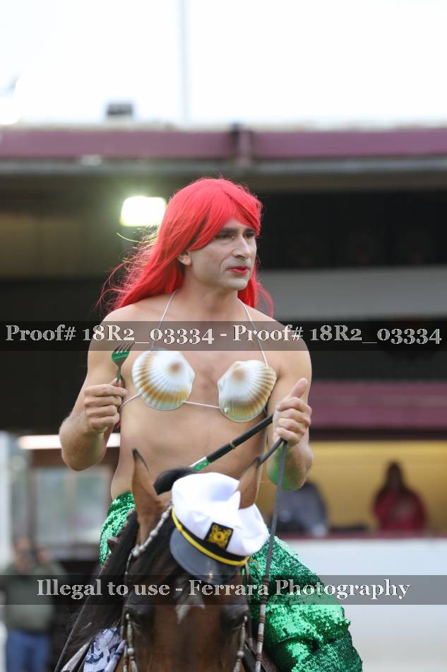 Proof 18R2_03334