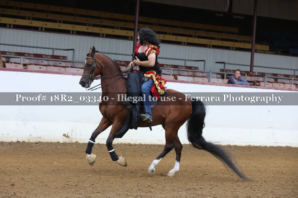 Proof 18R2_03340