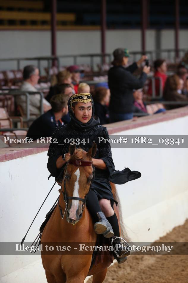 Proof 18R2_03341