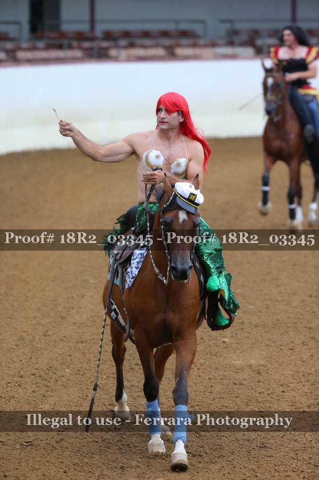 Proof 18R2_03345