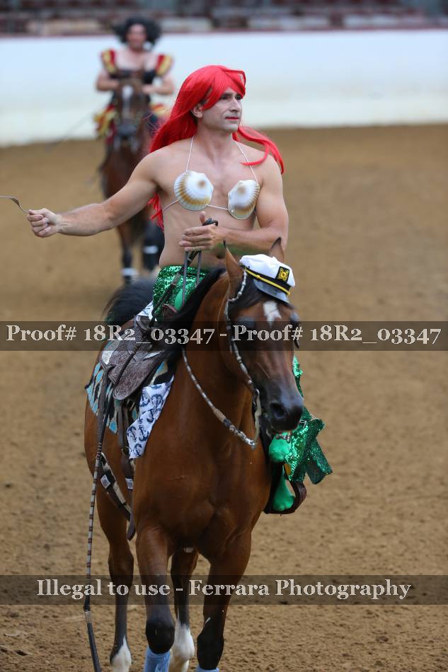 Proof 18R2_03347