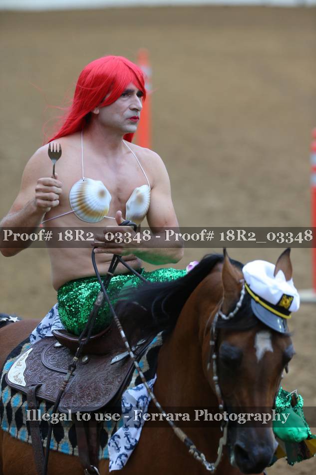 Proof 18R2_03348
