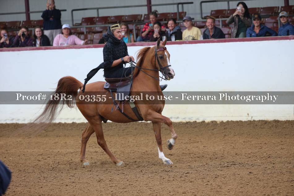 Proof 18R2_03355