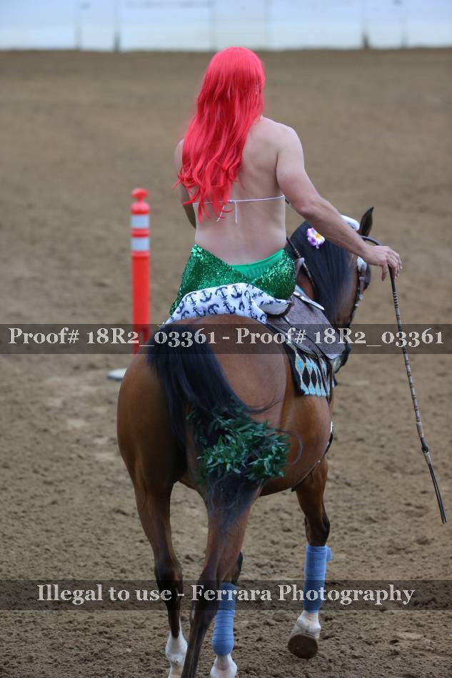 Proof 18R2_03361