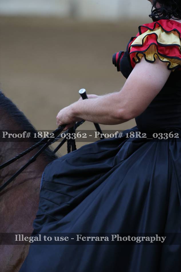 Proof 18R2_03362