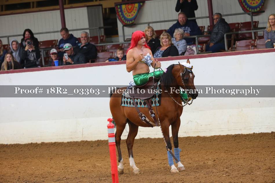 Proof 18R2_03363