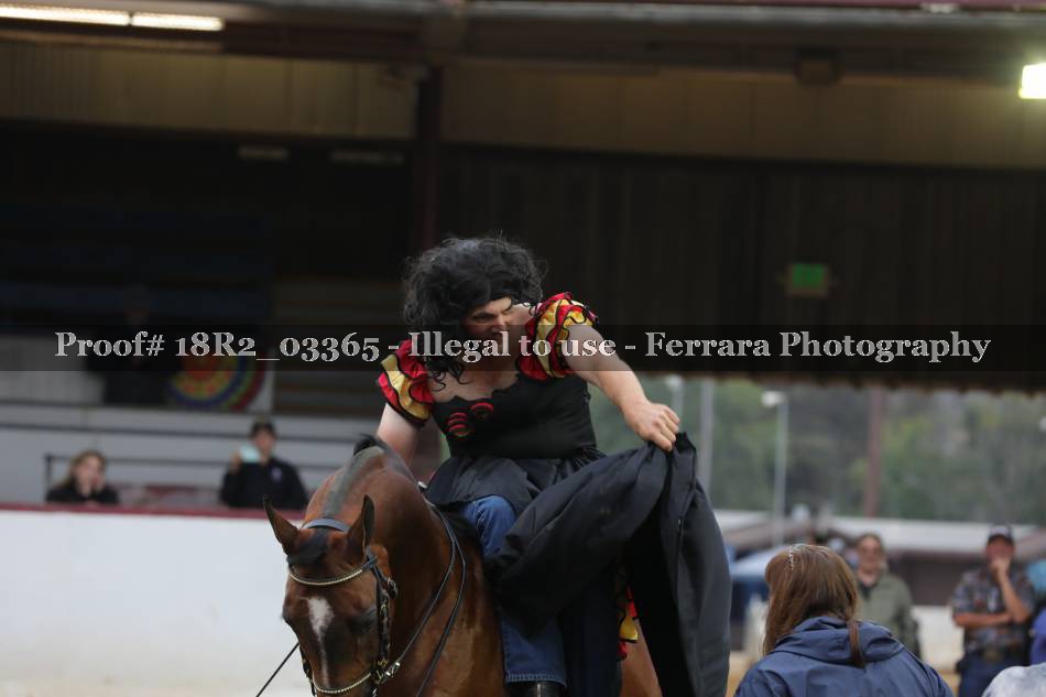 Proof 18R2_03365