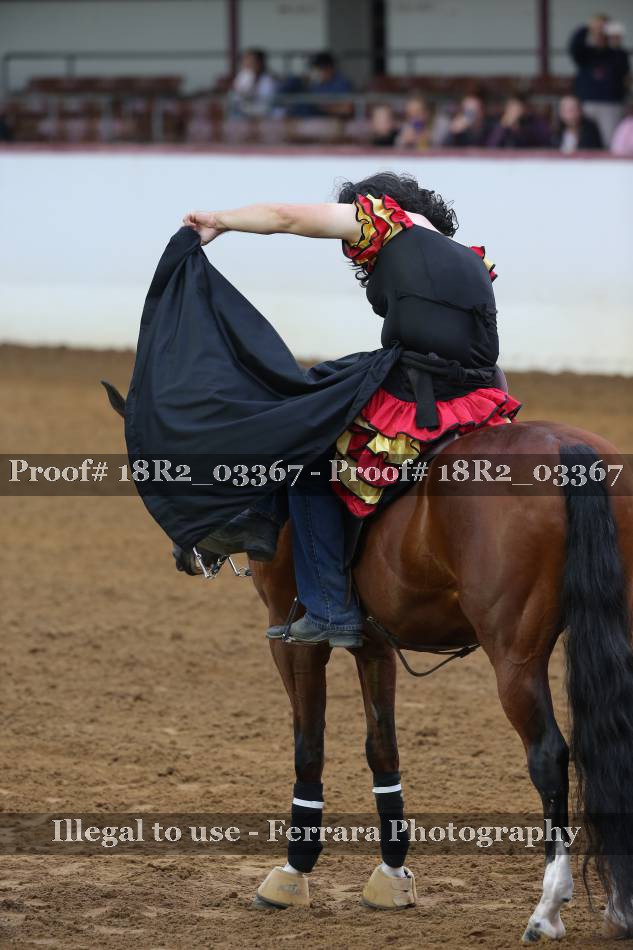 Proof 18R2_03367